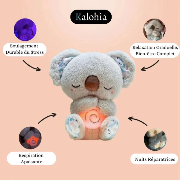 Koala apaisant