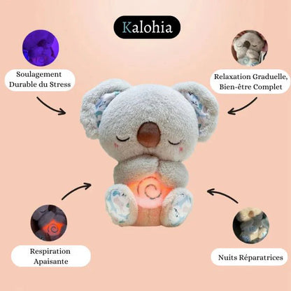 Koala apaisant