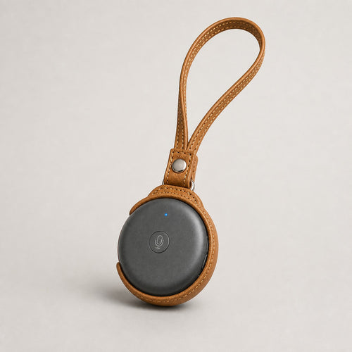 Translator Carrying Case, tan, with a wrist loop