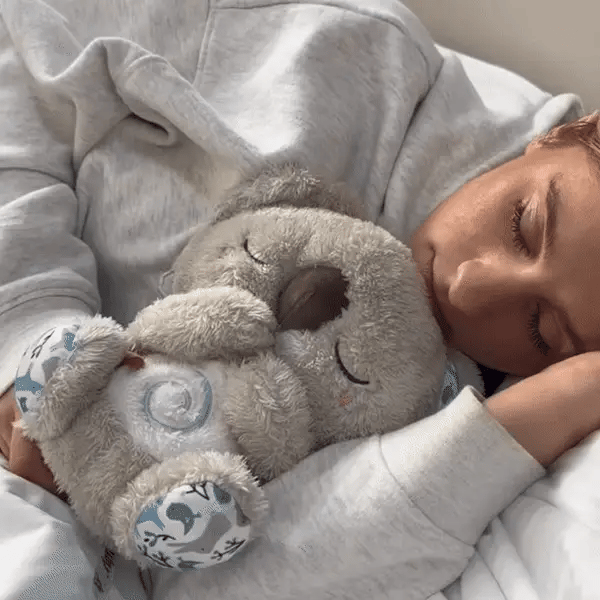 Koala apaisant